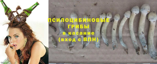 дурь Майский