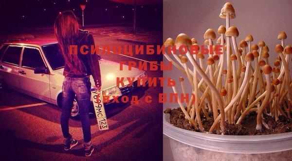 прущий лед Магадан
