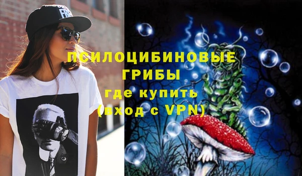 герыч Болотное